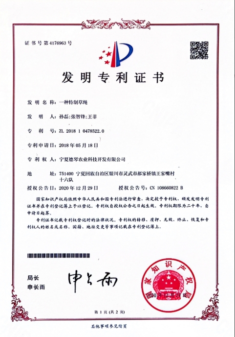 宁夏蜜桃AV无码国产丝袜在线观看