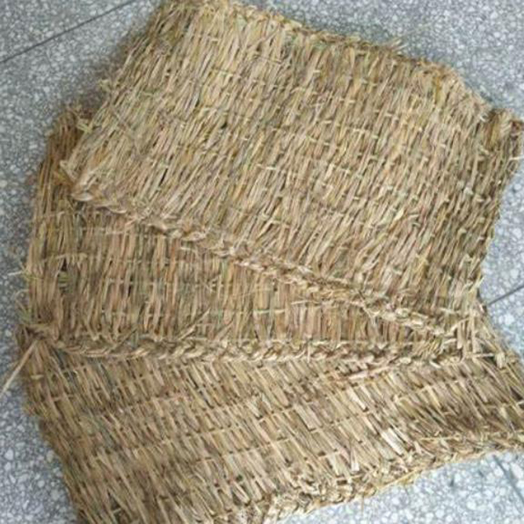 宁夏蜜桃成人APP免费视频厂家哪家好